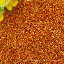 The export of High quality New crops red millets bird millet